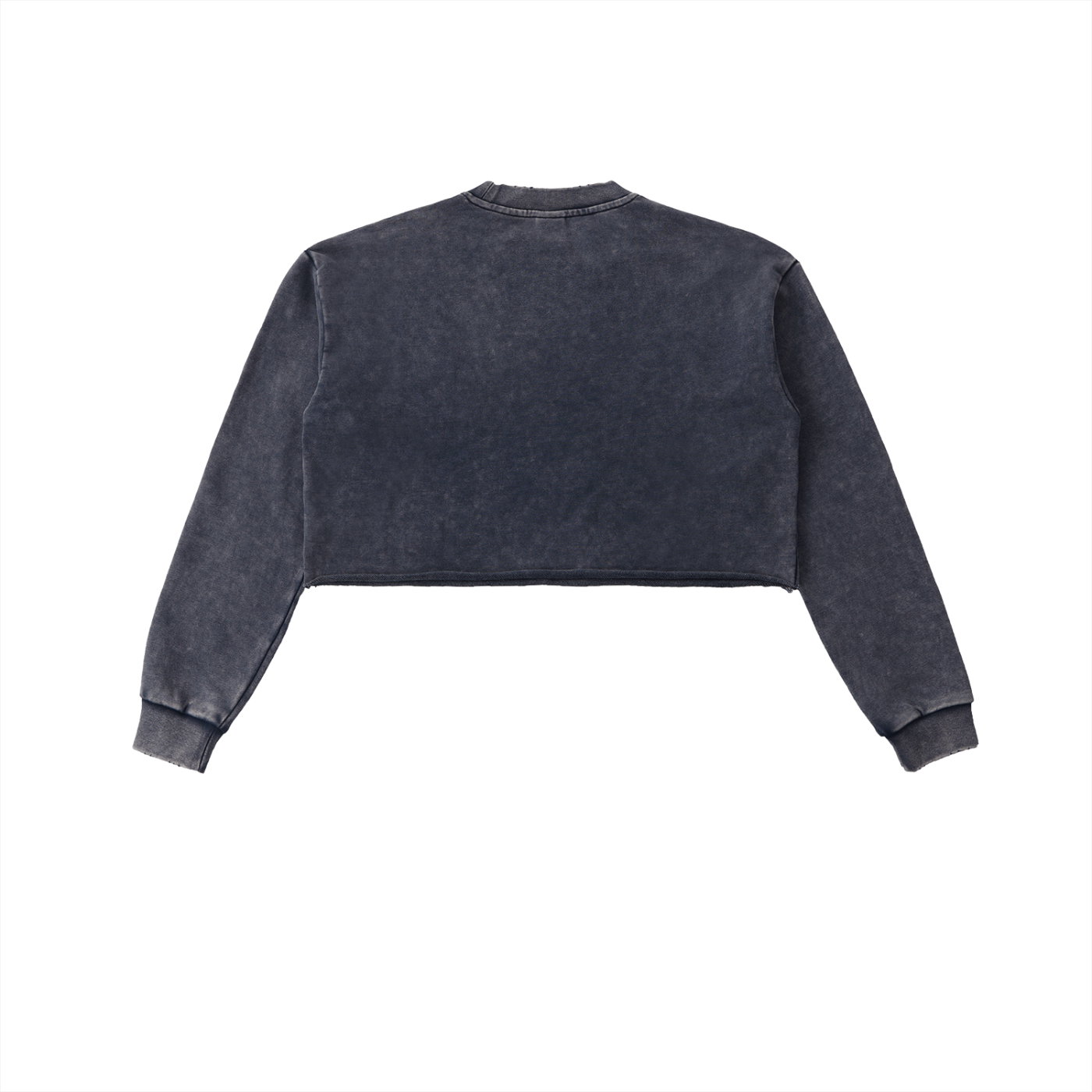 Rare Over Regular Snow Washed Raw Edge Cropped Sweatshirt