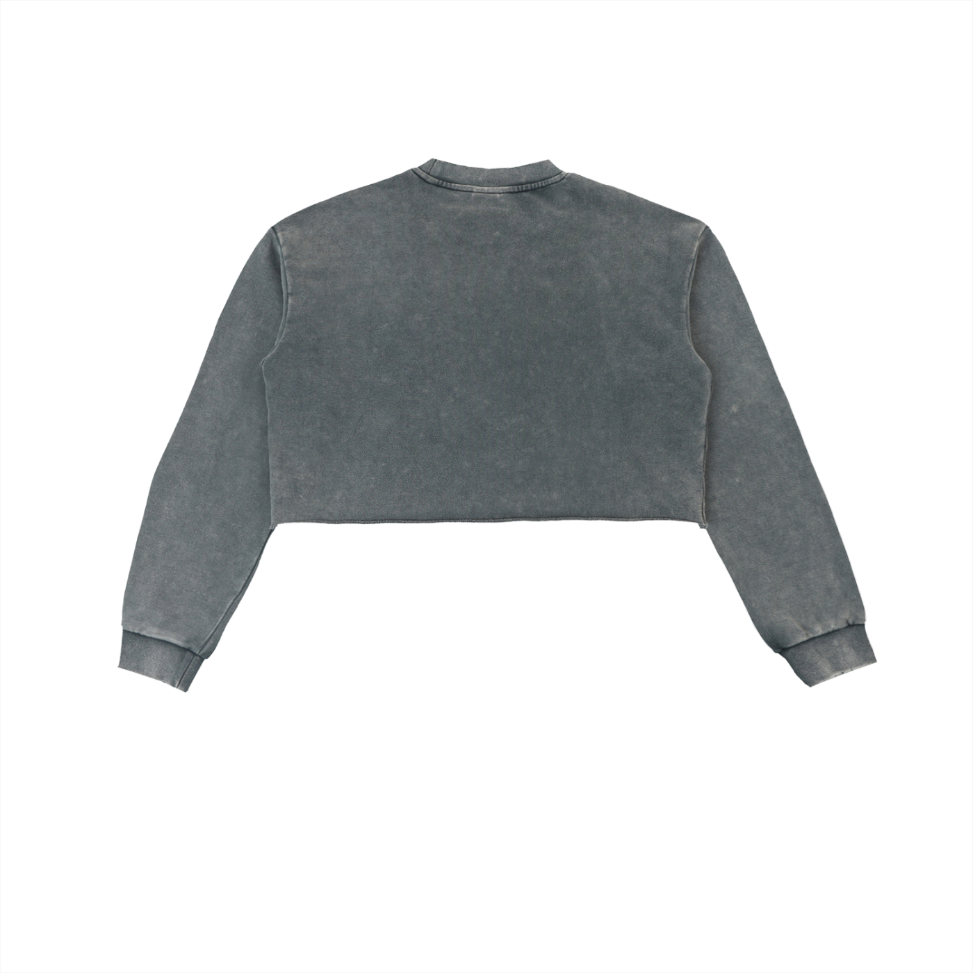 Rare Over Regular Snow Washed Raw Edge Cropped Sweatshirt