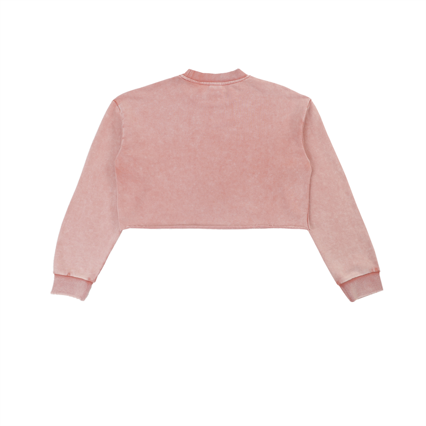 Rare Over Regular Snow Washed Raw Edge Cropped Sweatshirt